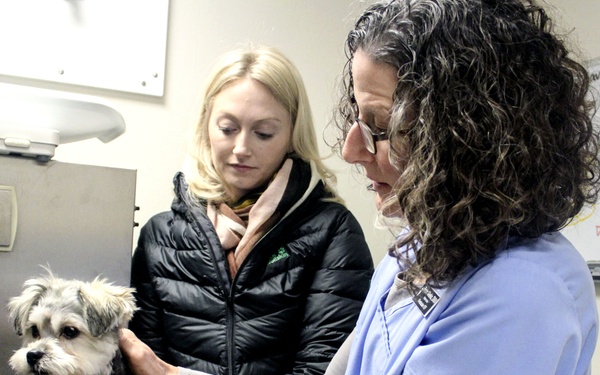 USAG Wiesbaden VTF: Ensuring Readiness!