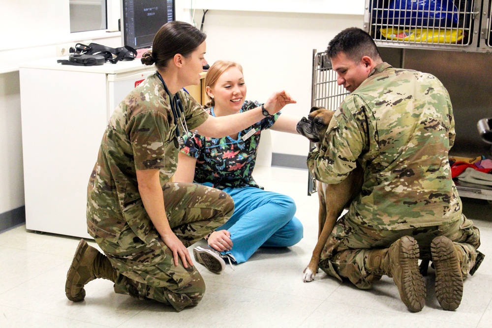USAG Wiesbaden VTF: Ensuring Readiness!