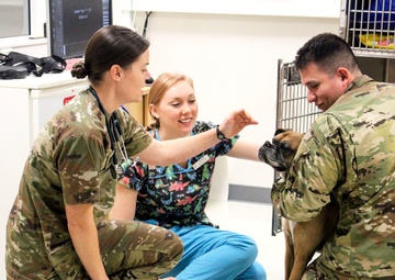 USAG Wiesbaden VTF: Ensuring Readiness!