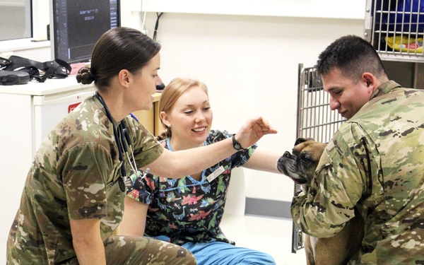 USAG Wiesbaden VTF: Ensuring Readiness!