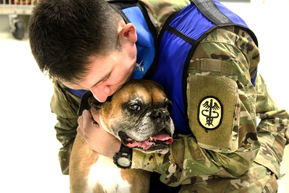 USAG Wiesbaden VTF: Ensuring Readiness!