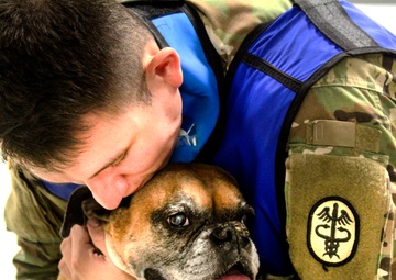 USAG Wiesbaden VTF: Ensuring Readiness!