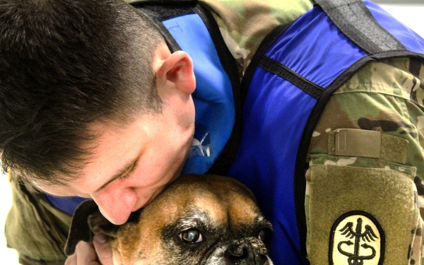 USAG Wiesbaden VTF: Ensuring Readiness!