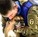 USAG Wiesbaden VTF: Ensuring Readiness!