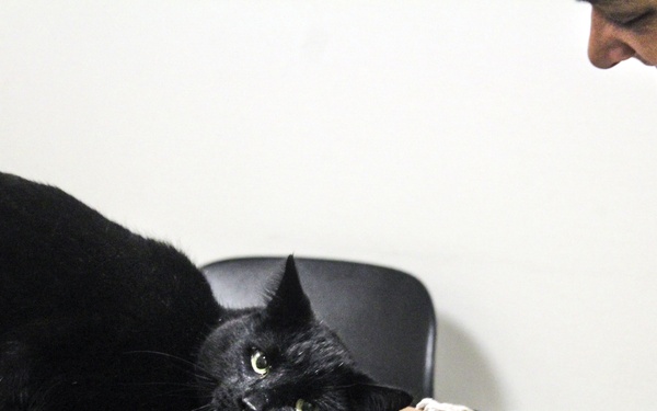 USAG Wiesbaden VTF: Ensuring Readiness!