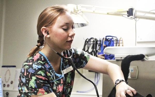 USAG Wiesbaden VTF: Ensuring Readiness!