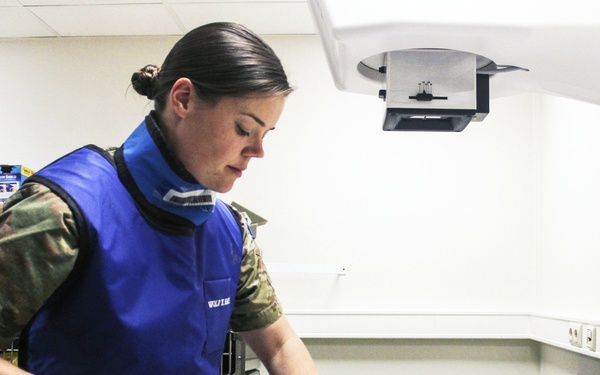 Pet registration at VTF mandatory