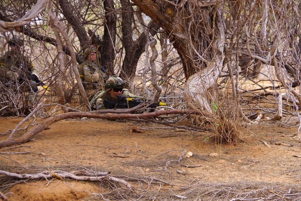 Fury, 2PARA Paratroopers Conduct Day, Night Live Fire Exercises in Kenya