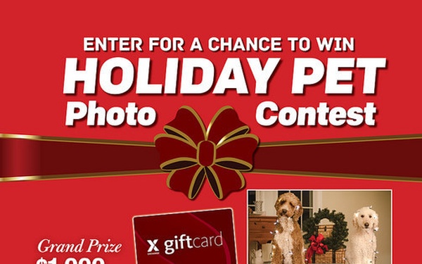 Yappy Holidays! Exchange Photo Contest Lets Military Pets Be Merry, Bright