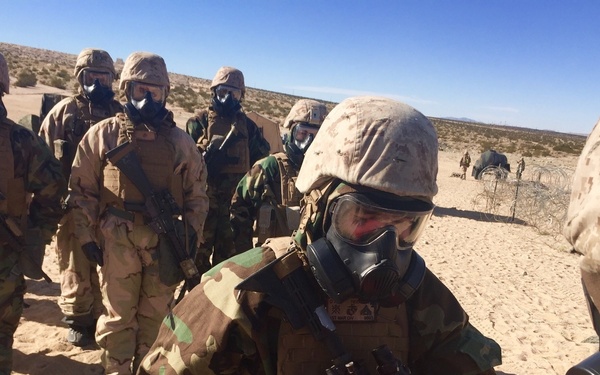 A group of military personnel in full MOPP (Mission Oriented Protective Posture) gear, including gas masks and chemical protective suits, are conducting a CBRN (Chemical, Biological, Radiological, Nuclear) training exercise in a desert environment. One soldier in the foreground appears to be reviewing or signing documents on a red clipboard. The setting appears to be a desert training area, likely a U.S. military installation based on the MARPAT (Marine pattern) camouflage visible on some personnel.