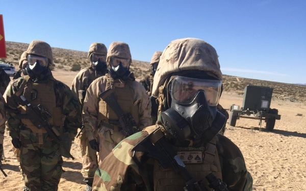 A group of military personnel in full MOPP (Mission Oriented Protective Posture) gear are standing in a desert training environment. They are wearing woodland camouflage MOPP suits, M40-series gas masks with protective goggles, MICH/ACH helmets with desert covers, and tactical vests while carrying rifles. The setting appears to be a desert training range, likely at a U.S. military installation such as 29 Palms or a similar arid training facility.