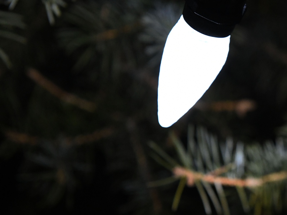 Ellsworth tree lighting glows with holiday spirit
