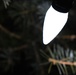 Ellsworth tree lighting glows with holiday spirit