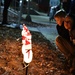Ellsworth tree lighting glows with holiday spirit