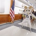 U.S. Navy Football Game Pep Rally at the Pentagon