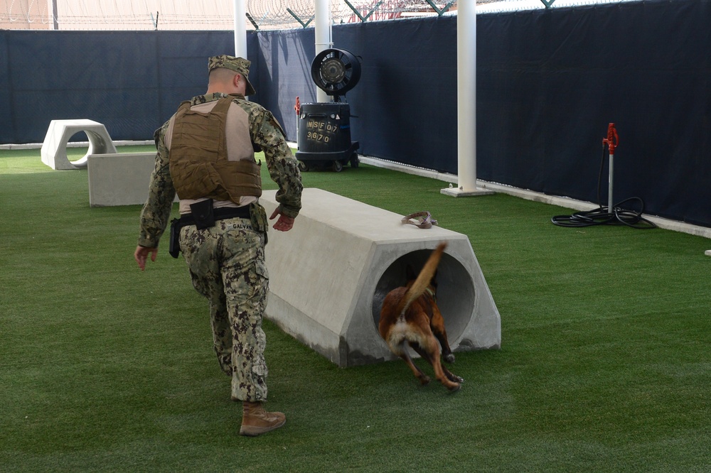 Military Working Dog Babs goes through NSA Bahrain’s obedience training course
