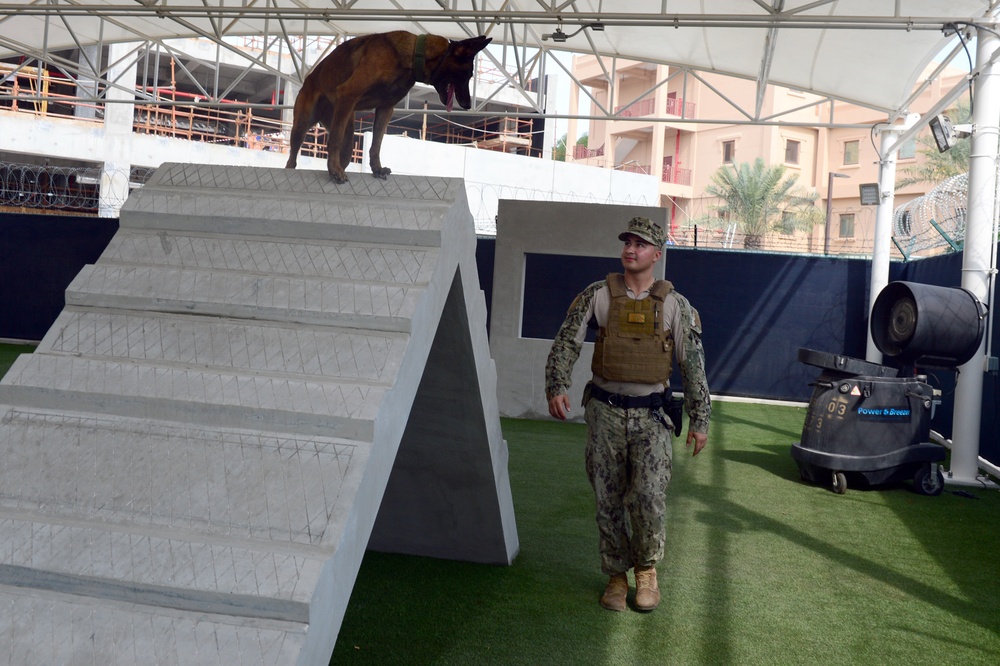Military Working Dog Babs goes through NSA Bahrain’s obedience training course