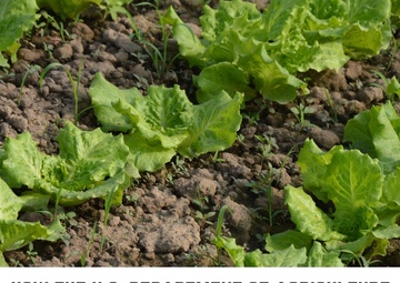 A Fruitful Post-Service Career: How the U.S. Department of Agriculture Supports Transitioning Service Members and Veterans