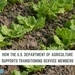 A Fruitful Post-Service Career: How the U.S. Department of Agriculture Supports Transitioning Service Members and Veterans