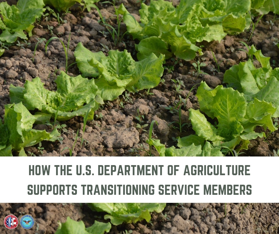 A Fruitful Post-Service Career: How the U.S. Department of Agriculture Supports Transitioning Service Members and Veterans