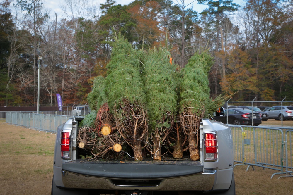 Trees for Troops