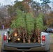 Trees for Troops