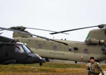 Regionally Allocated Forces in Europe enhance partnerships and capabilities during Combined Resolve XI