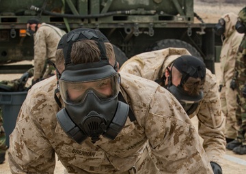 V1/5 Steel Knight 2019