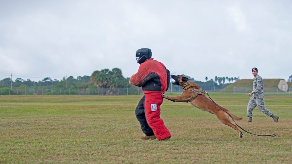 6th SFS and EOD showcase readiness