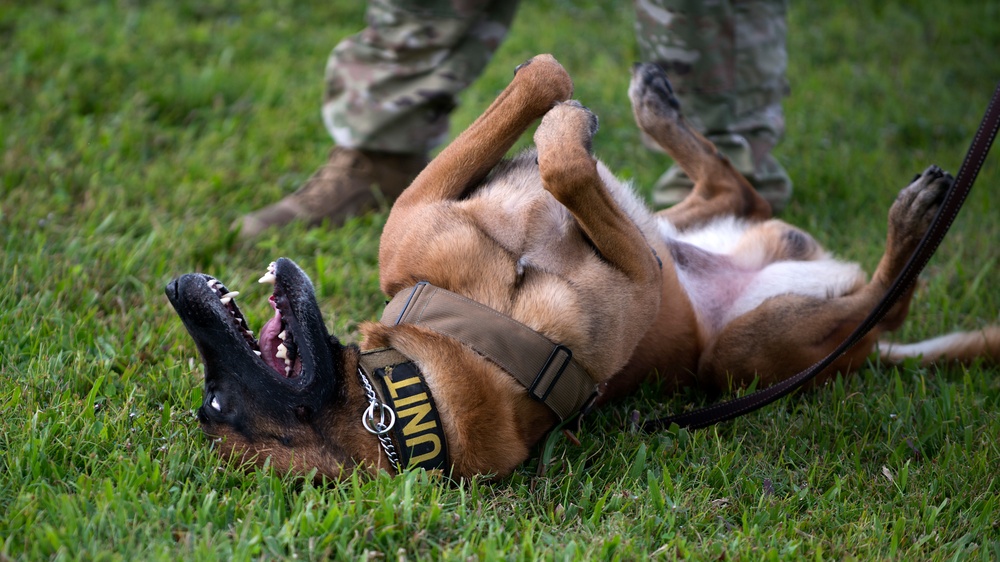 6th SFS and EOD showcase readiness