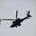 A military attack helicopter is captured in flight against an overcast gray sky. The aircraft appears to be a Boeing AH-64 Apache based on its distinctive tandem cockpit, stub wings, and weapons systems configuration. The image is taken from a low angle, with tree branches partially visible in the upper left corner.