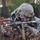 A soldier in U.S. Army ACU (Army Combat Uniform) digital camouflage is positioned behind a tree in a wooded environment, aiming a rifle with an optical sight. The soldier is wearing a combat helmet with NVG mount bracket and tactical gloves. The scene appears to be a field training exercise or operational deployment in a temperate forest setting.