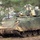 A tracked armored fighting vehicle, consistent with a Bradley Infantry Fighting Vehicle (IFV), is positioned in a wooded area with muddy terrain. The vehicle is covered in camouflage netting over a sand/tan base paint scheme and shows significant mud accumulation on its lower hull and tracks. The turret-mounted autocannon is visible and the vehicle appears to be stationary among pine trees.