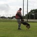 18 Security Forces Squadron Military Working Dogs