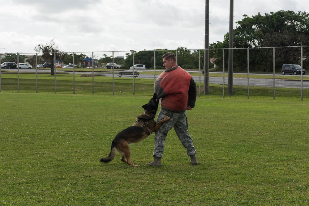 18 Security Forces Squadron Military Working Dogs