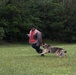 18 Security Forces Squadron Military Working Dogs