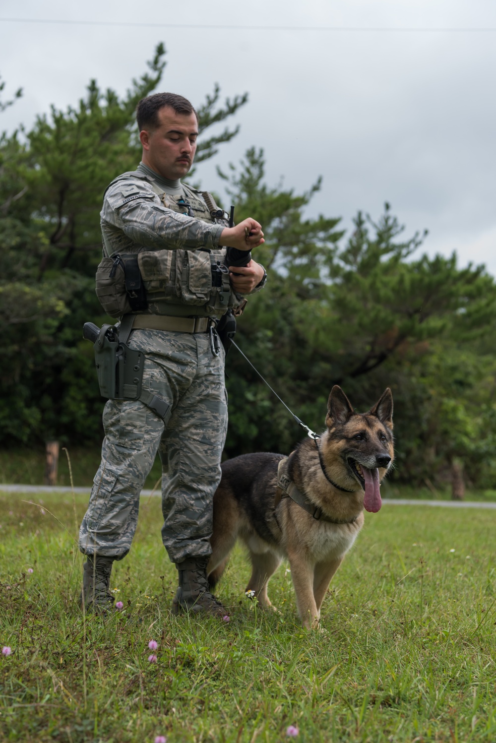 18 Security Forces Squadron Military Working Dogs