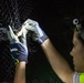 YOUR ENVIRONMENT: Post bats serve important role in ecosystem