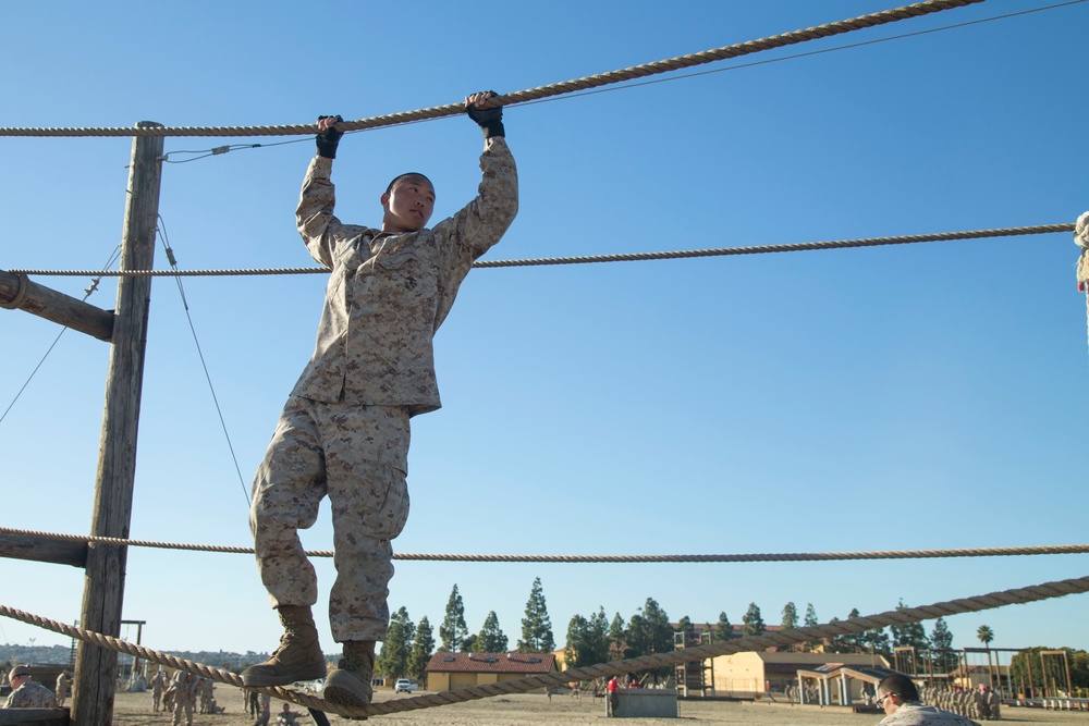 Alpha Company Confidence Course