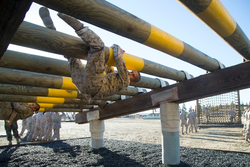 Alpha Company Confidence Course