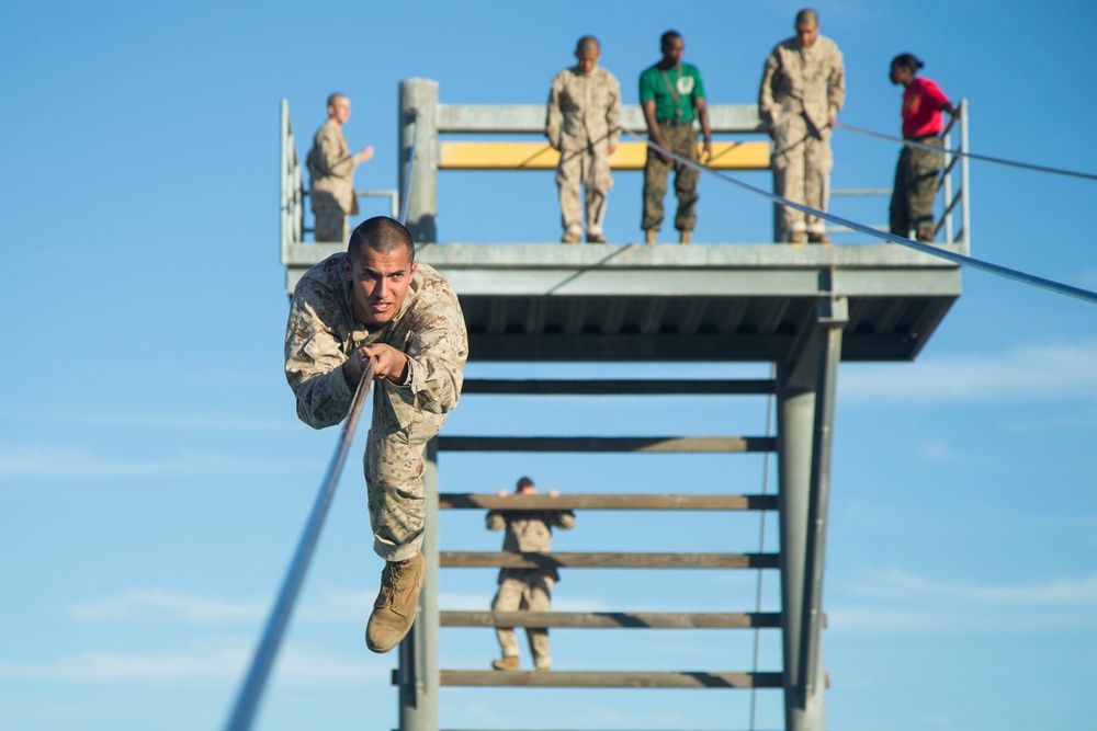 Alpha Company Confidence Course