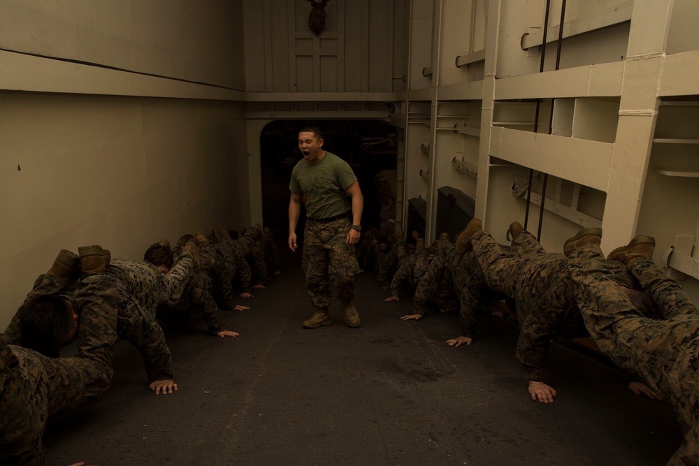 Marine Corps Martial Arts Program