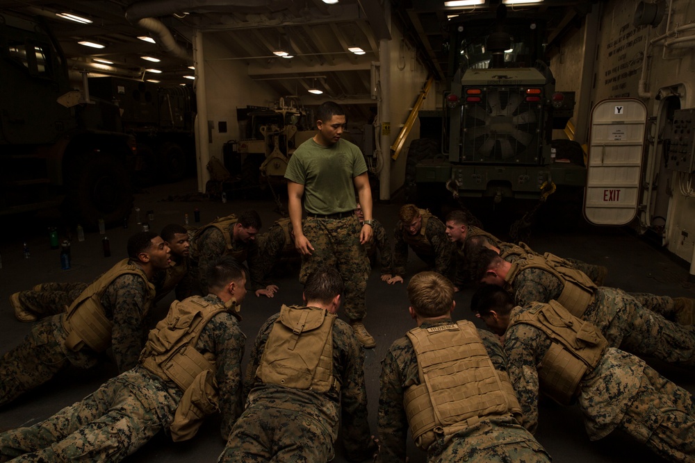 Marine Corps Martial Arts Program