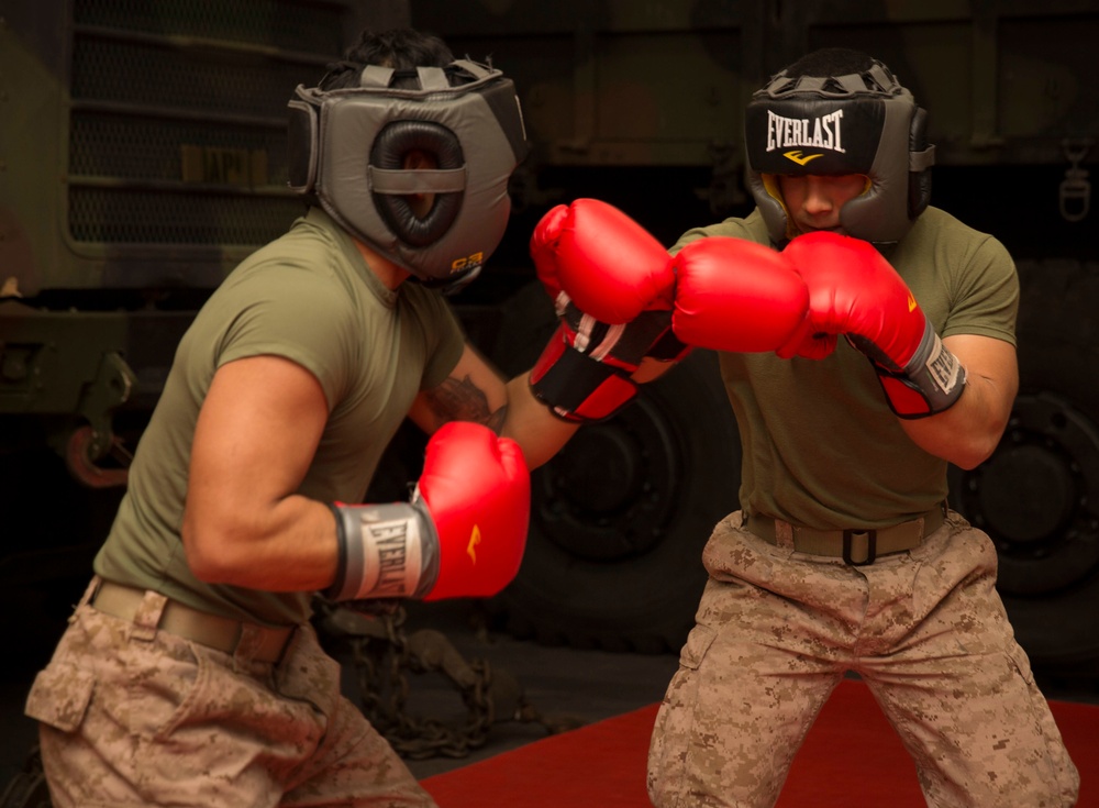 Marine Corps Martial Arts Program