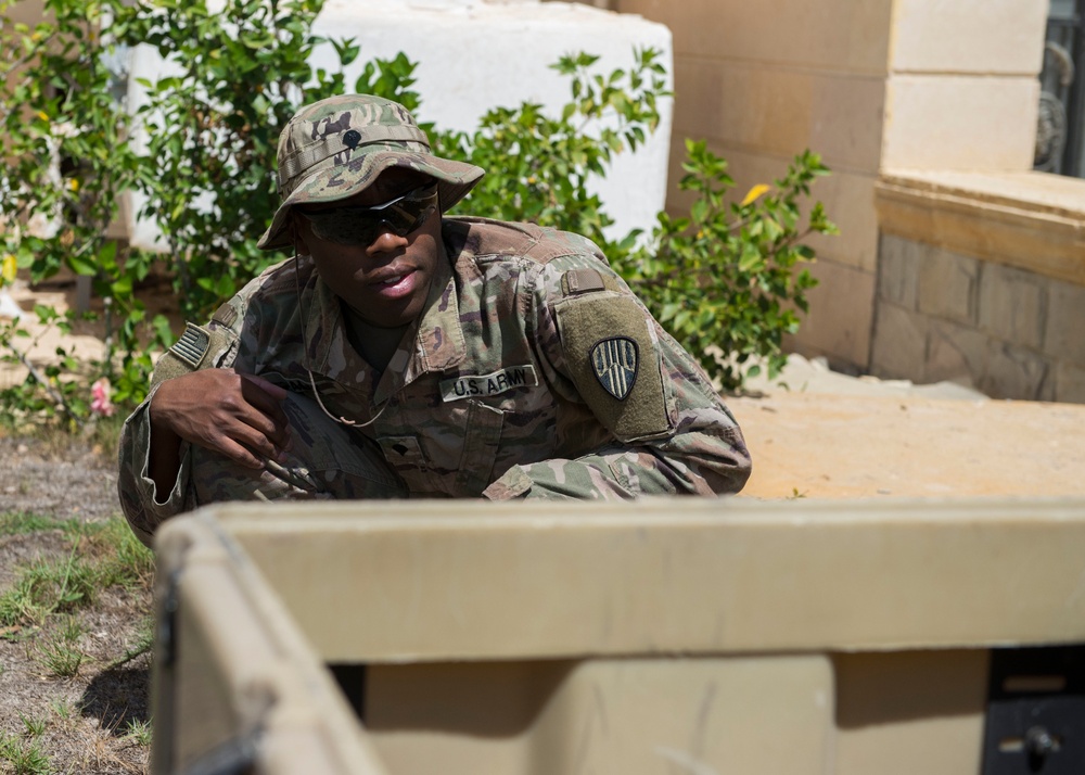 101st Expeditionary Signal Battalion  participates in Operation Bright Star