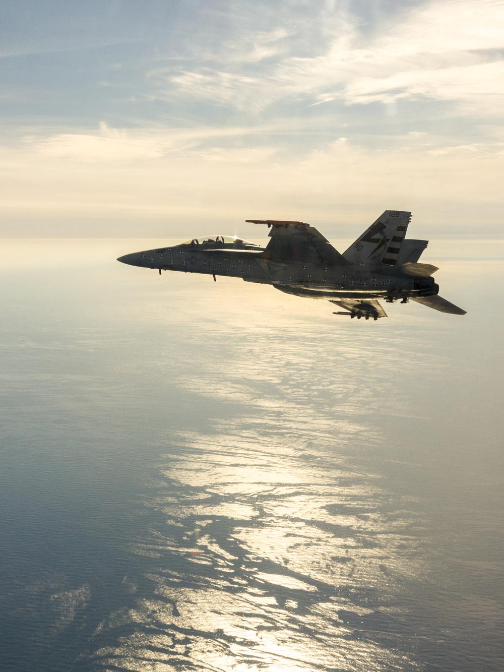 U.S. Navy F/A-18F Super Hornet