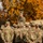 A senior military officer in US Army OCP (Operational Camouflage Pattern) uniform is seated atop a military vehicle, addressing a large formation of soldiers gathered around him. The setting appears to be an outdoor briefing or after-action review during autumn, evidenced by the vibrant orange and yellow foliage in the background. The scene suggests a leadership engagement or mission briefing between a commander and his troops.