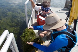 Buffalo District biologist Joshua Unghire and a SUNY Brockport student survey the Braddock Bay ecosystem restoration project