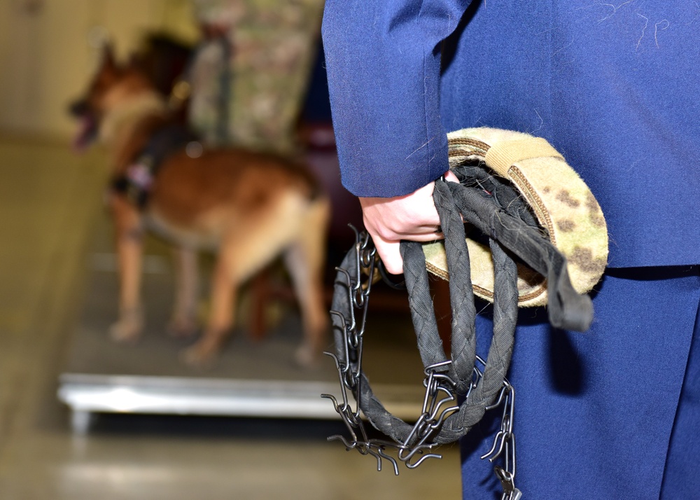 Man’s best friend: K-9 Defenders retire after years of service
