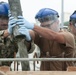 NMCB-3 Seabees Pour Concrete